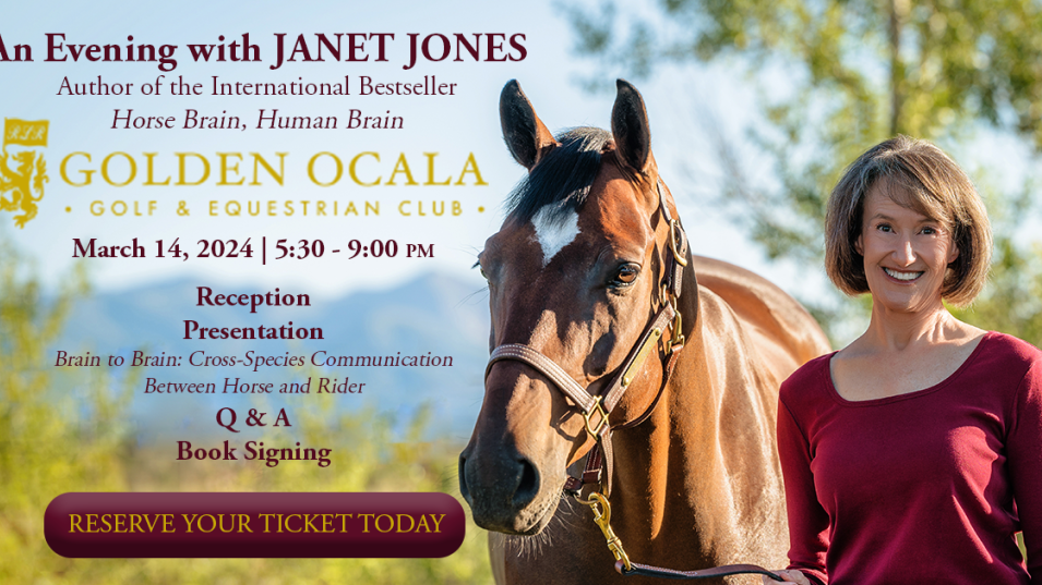 Learn How Horse Brains Differ from Human Brains at Golden Ocala