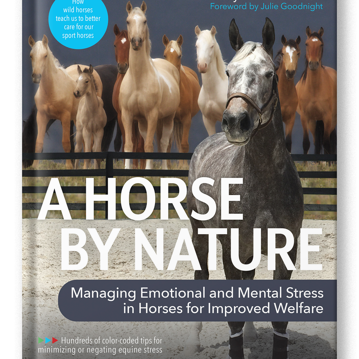 A Horse By Nature – Trafalgar Square Books