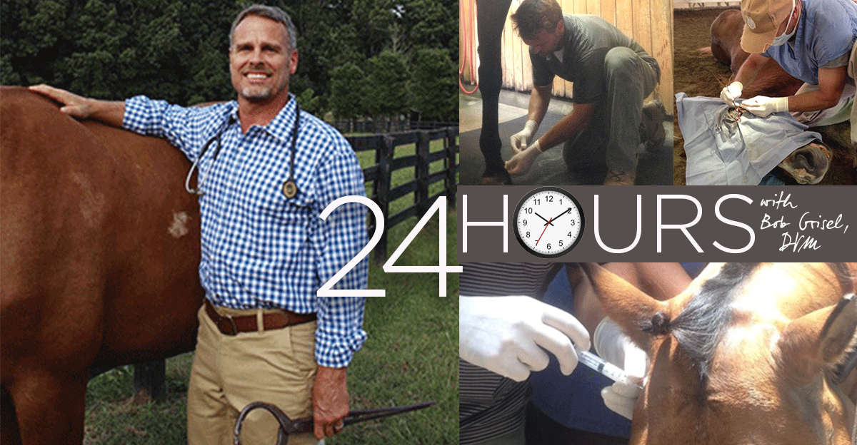 “Ketchup Day,” Warm Feet, Atlanta Traffic, and Equine Heli-Vet: 24 Hours with Veterinarian Dr. Bob Grisel