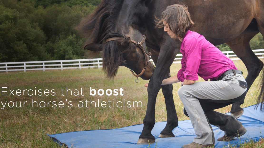 Finally! Resolve Your Horse’s Posture Problems and Poor Movement Patterns
