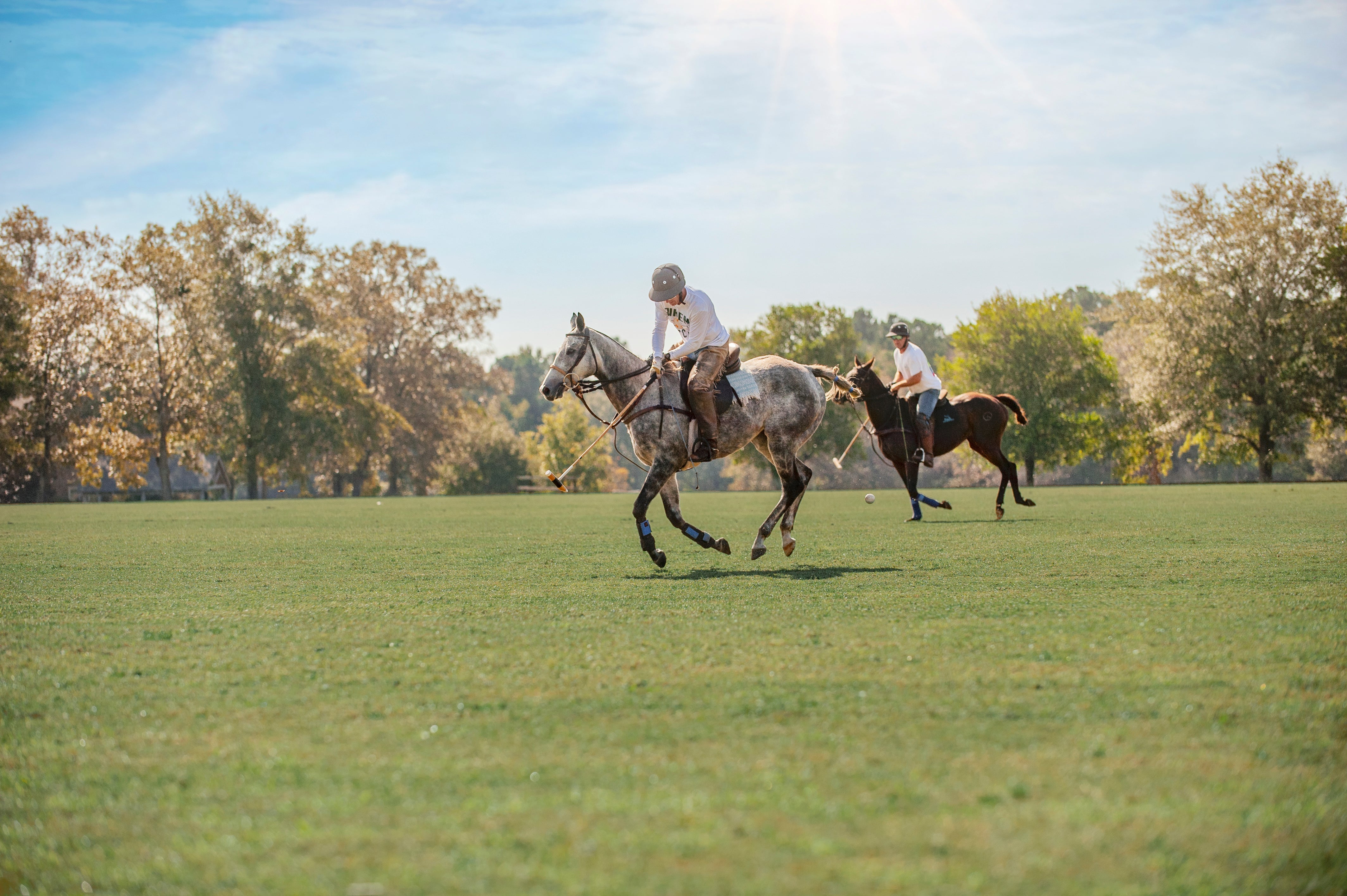 Adam Snow Rode Over 100 of the Best Polo Ponies in the US Over a Two-Week Period...This Is What He Learned