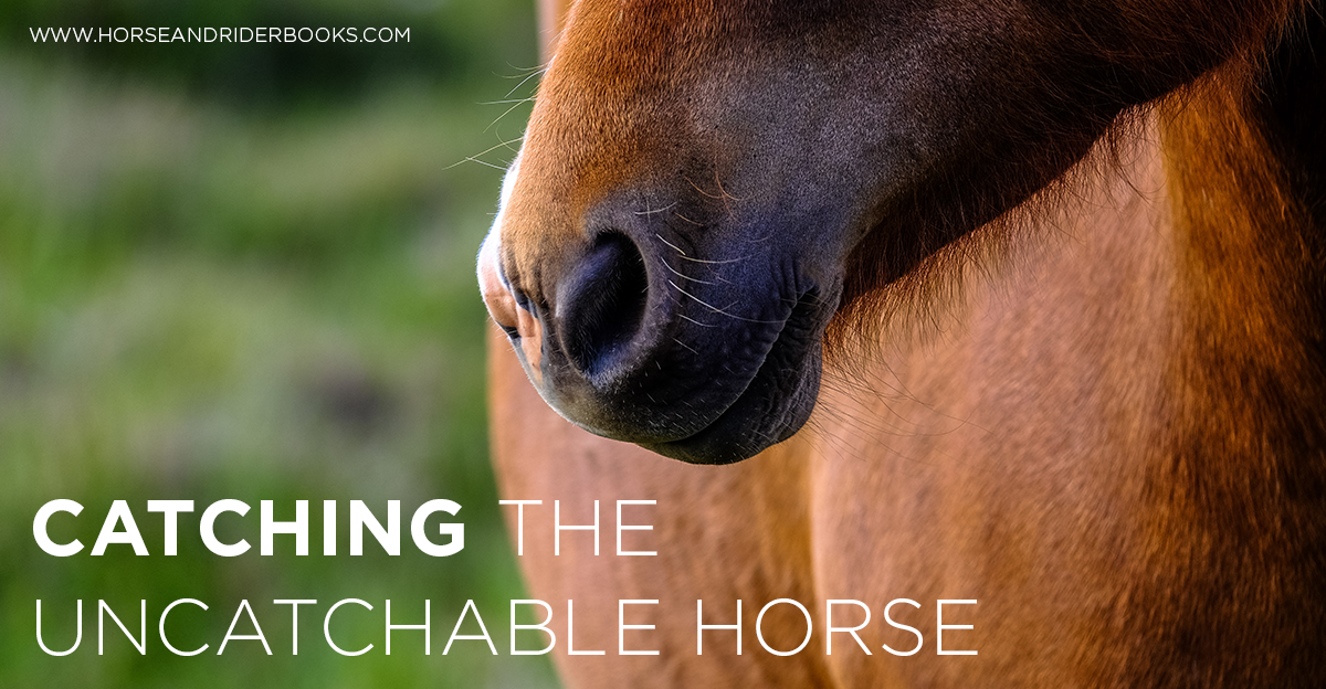 Catching the Uncatchable Horse