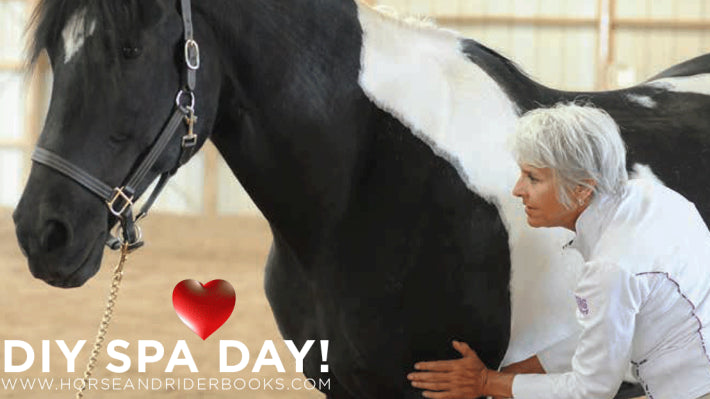 Give the Horse You Love a DIY Spa Day