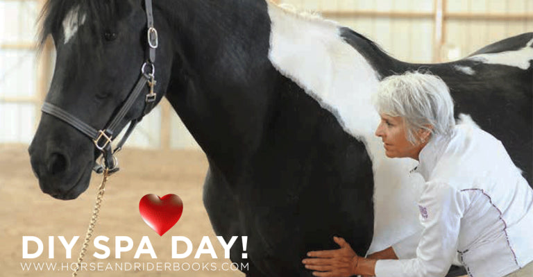 Give the Horse You Love a DIY Spa Day