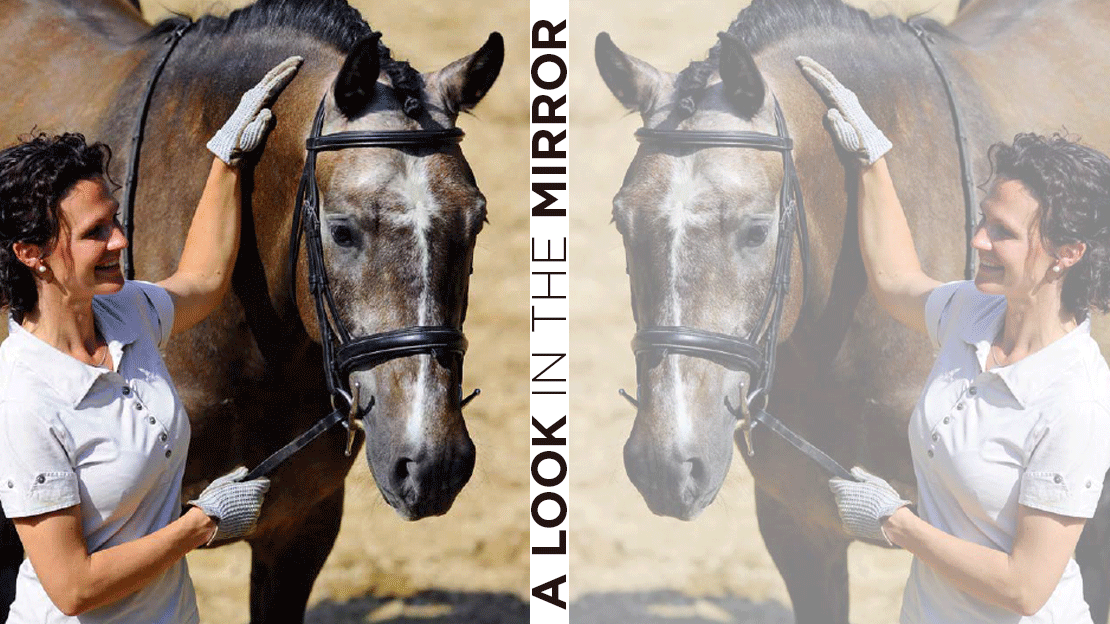 Think of Training Your Horse As Taking a Good Look in the Mirror