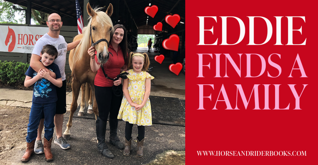 How a Rescue Horse Survived the Odds…and Found the Love of a Family