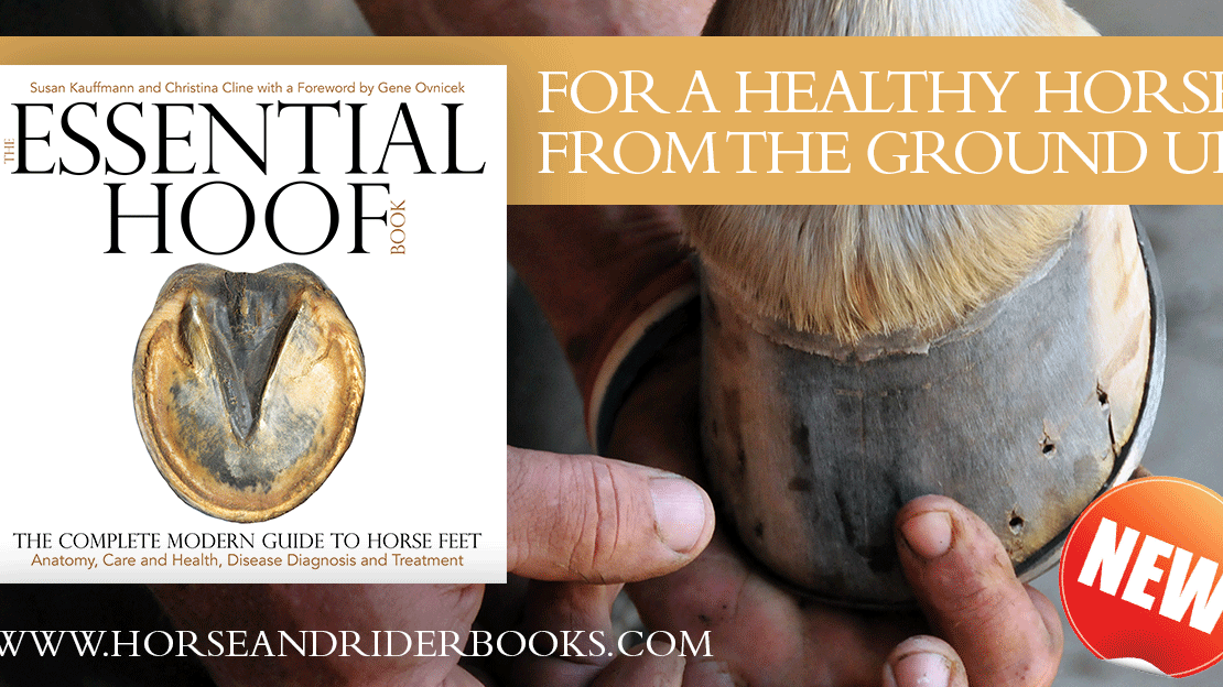“Is My Horse’s Hoof-Pastern Axis BROKEN?” Here’s How You Can Tell