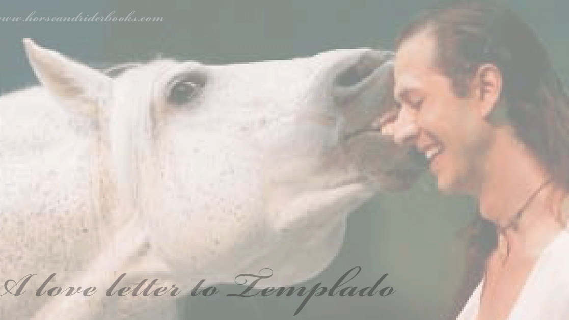 Saying Goodbye to the Horse You Love