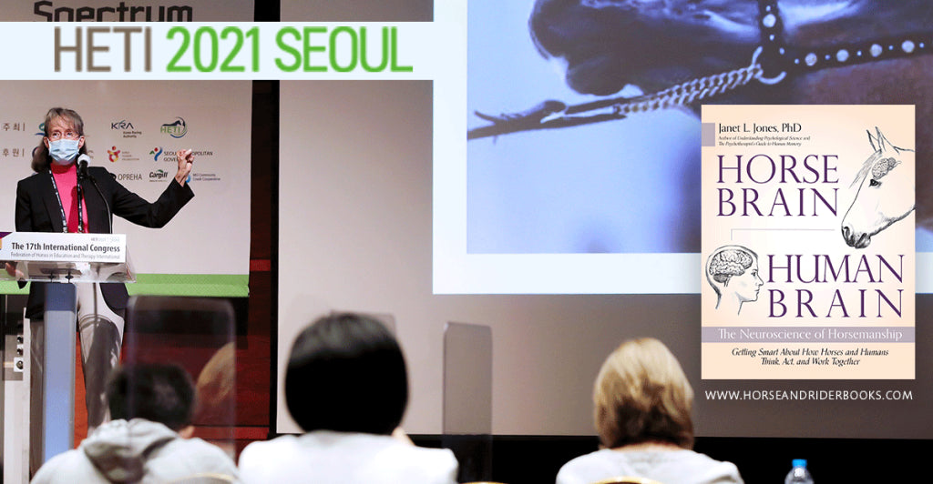 Horse Brain, Human Brain at HETI Seoul