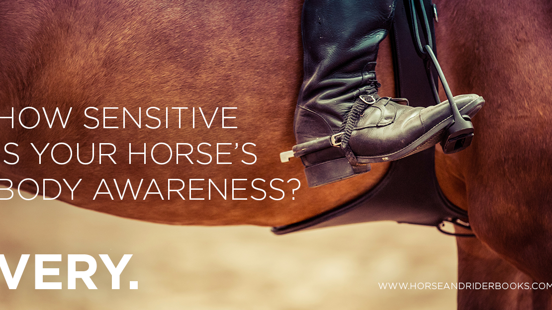 The Horse Can Detect the Weight of Three Grains of Sand–Here’s How That Matters to EVERYTHING