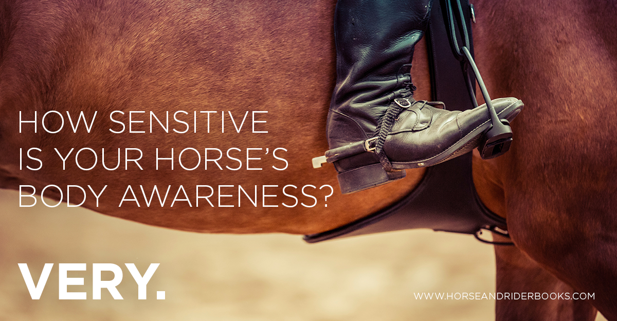 The Horse Can Detect the Weight of Three Grains of Sand–Here’s How That Matters to EVERYTHING