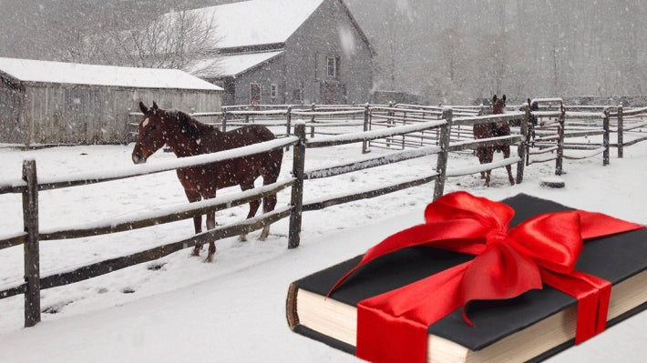 How I Got Horses for Christmas EVERY Year