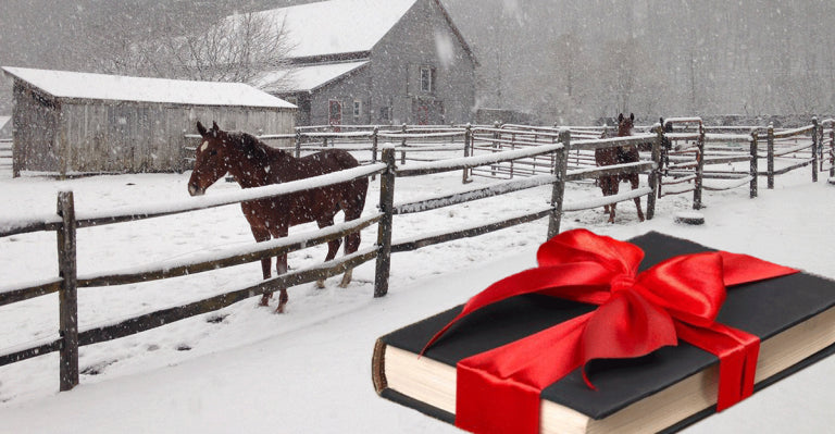 How I Got Horses for Christmas EVERY Year