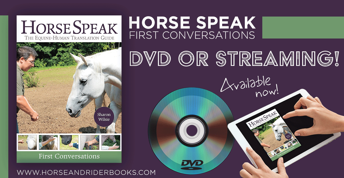 Learn HORSE SPEAK with the All New Video, Available on DVD and Streaming!