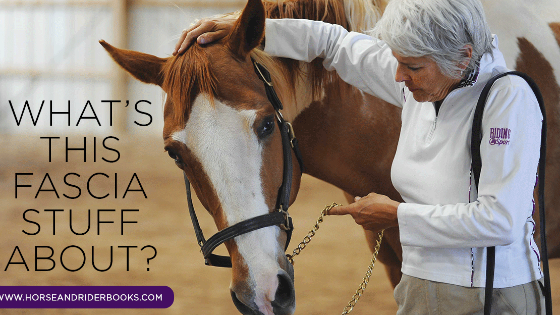 What’s Fascia? And What Does It Have to Do with Your Horse?