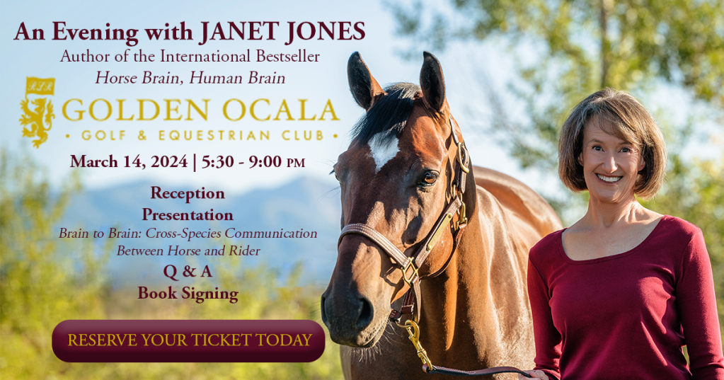 Learn How Horse Brains Differ from Human Brains at Golden Ocala