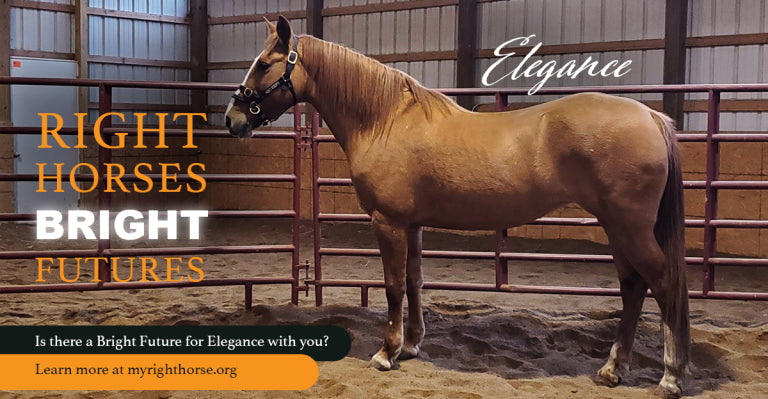 Elegance Is Looking for a Home