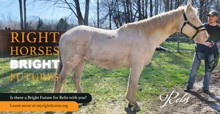 Meet Rebs, a Blue-Eyed Gentleman Looking for the Right Home