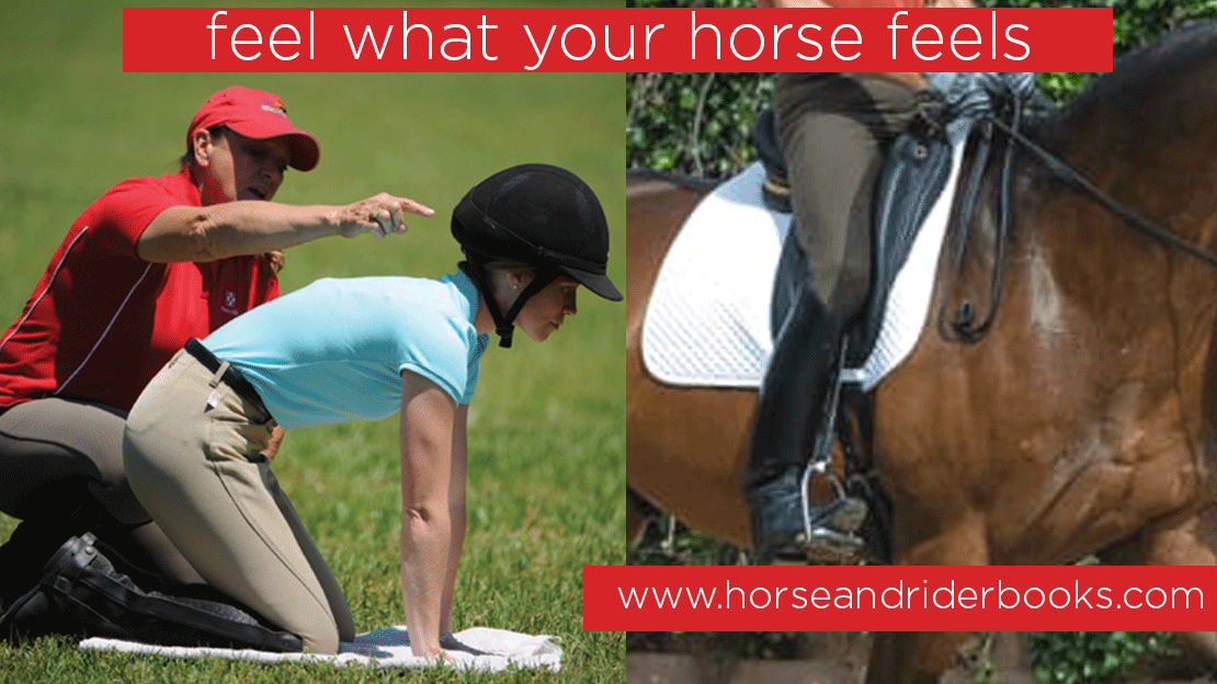 Collection: Feel What Your Horse Feels