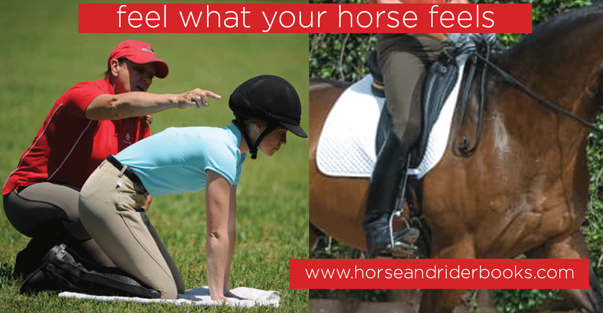 Collection: Feel What Your Horse Feels