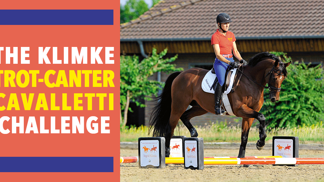 Trot-Canter Cavalletti Challenge
