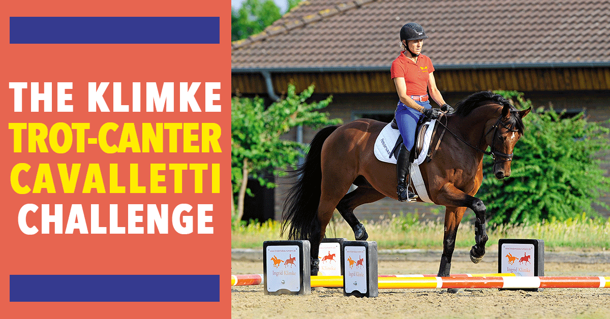 Trot-Canter Cavalletti Challenge