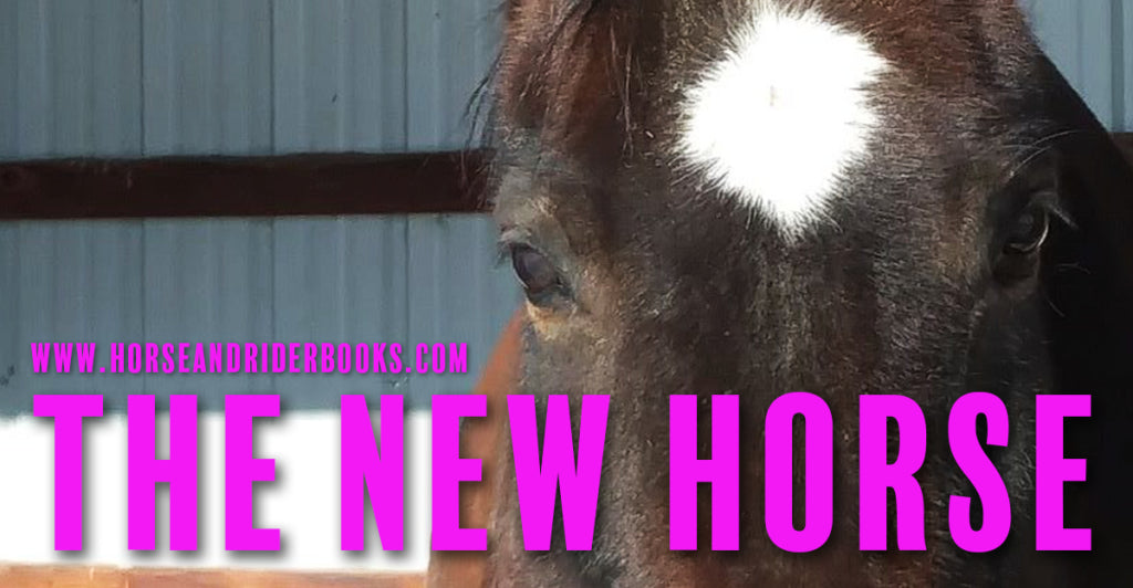 Looking for the New Horse…Who Could Never Replace the Old One