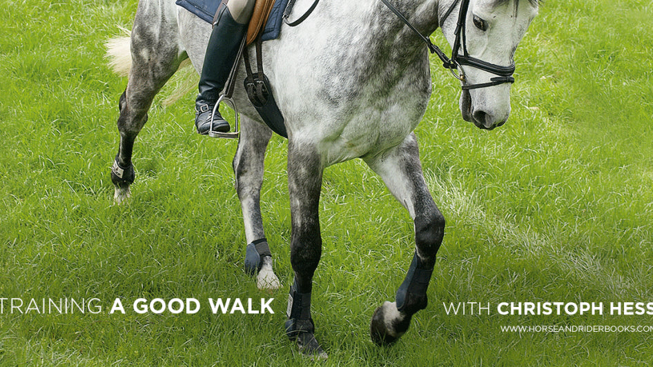 To Get a Good Walk…Work on Your Trot and Canter