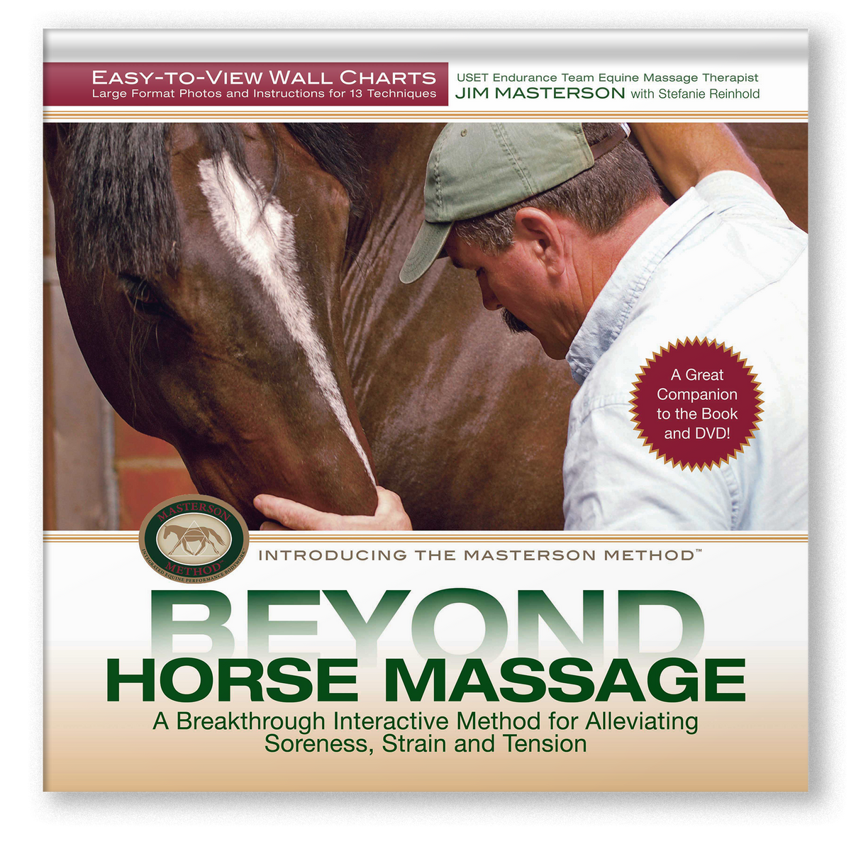 Beyond Horse Massage Wall Chart Trafalgar Square Books